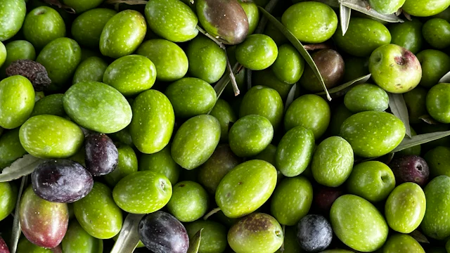 Illustrative olives and tapas photo, not the listed venues